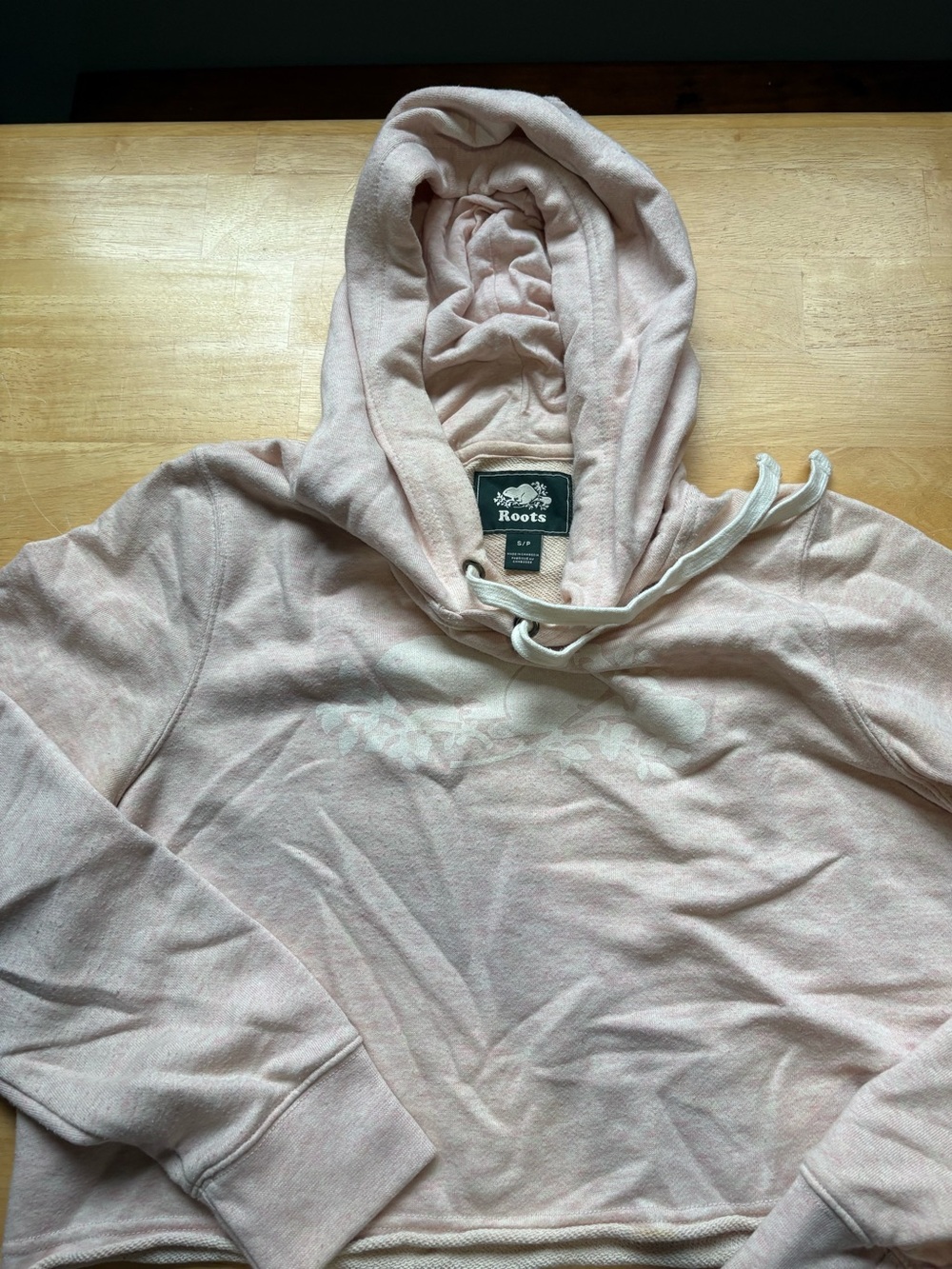 Hooded Sweatshirt - Not a Sweater Subcategory